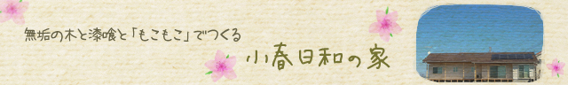 20170227_uegk_web_無垢の木と漆喰ともこもこでつくる小春日和の家