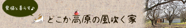 20171106_web_愛猫と暮らす。どこか高原の風吹く家。