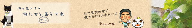 20190616_web_日出町のもくせい工舎施工・無垢の木と漆喰でつくる自然素材の家。木の家で健やかにお幸せに