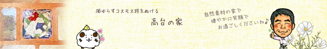 20191022_web_無垢の木と漆喰、もくせい工舎の自然素材の家で、健やかに、お幸せに。