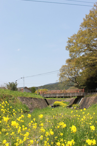 2019_sp_由布院の小川