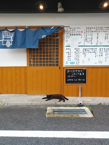 焼き鳥屋と猫