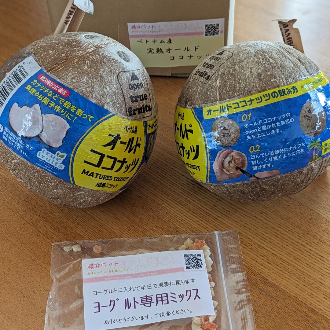 ヤシの実