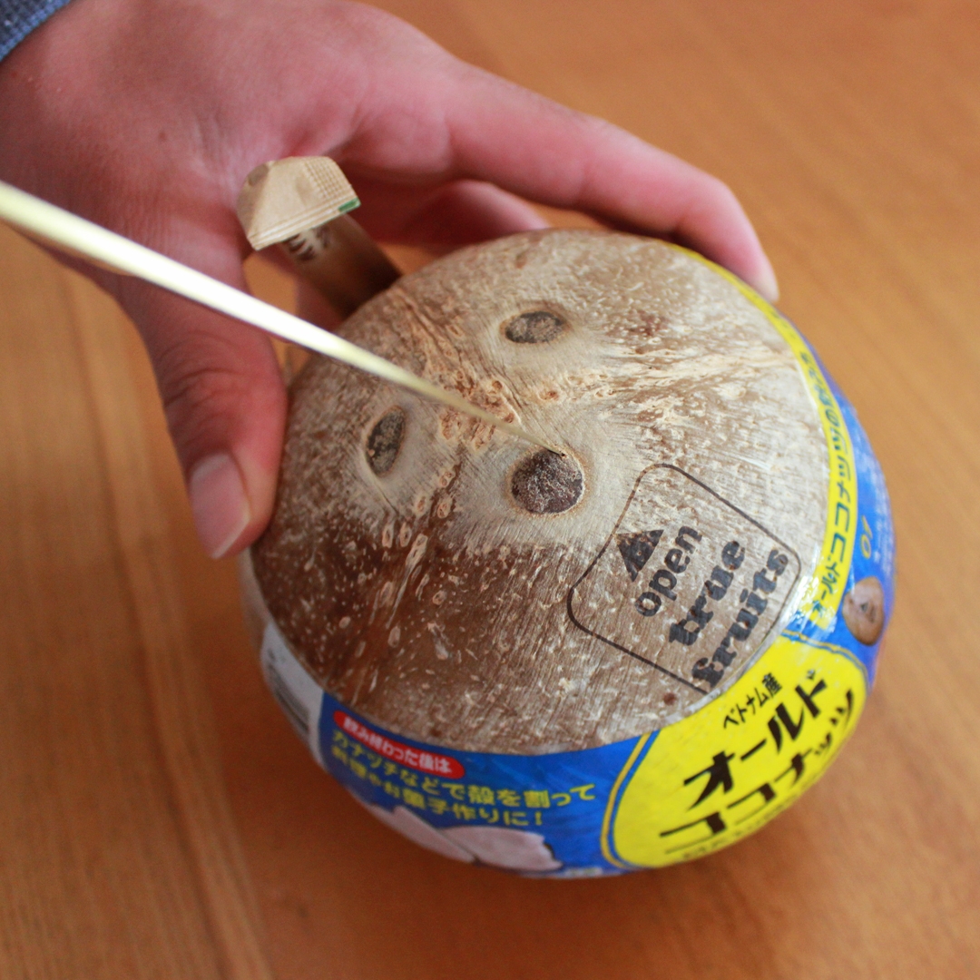 ヤシの実