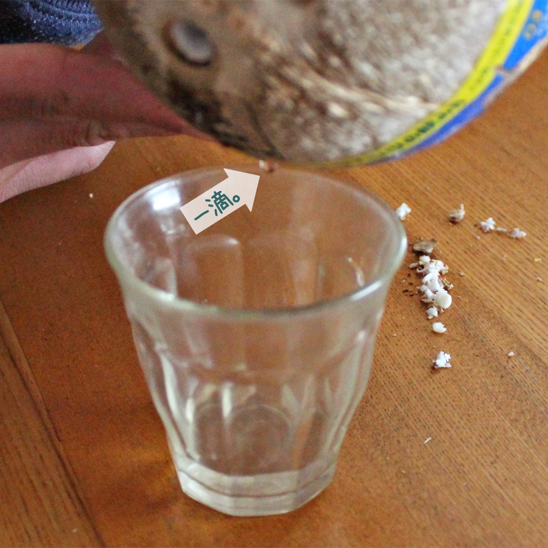 20240705_coconuts_5.jpg