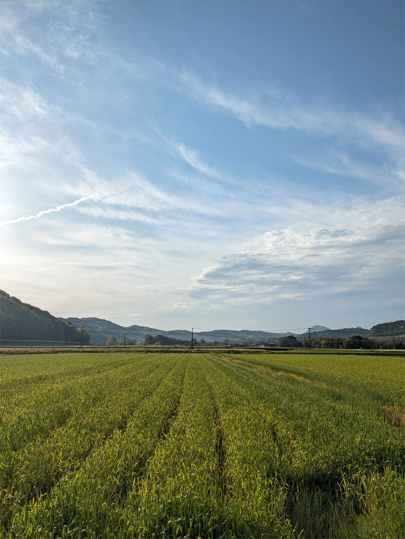 20251005_田舎暮らし