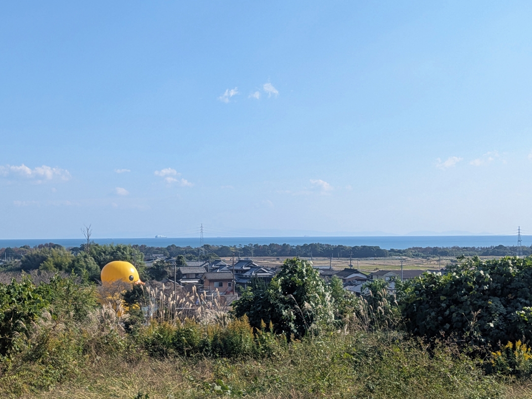 20251125_国東半島芸術文化祭_ラバーダック