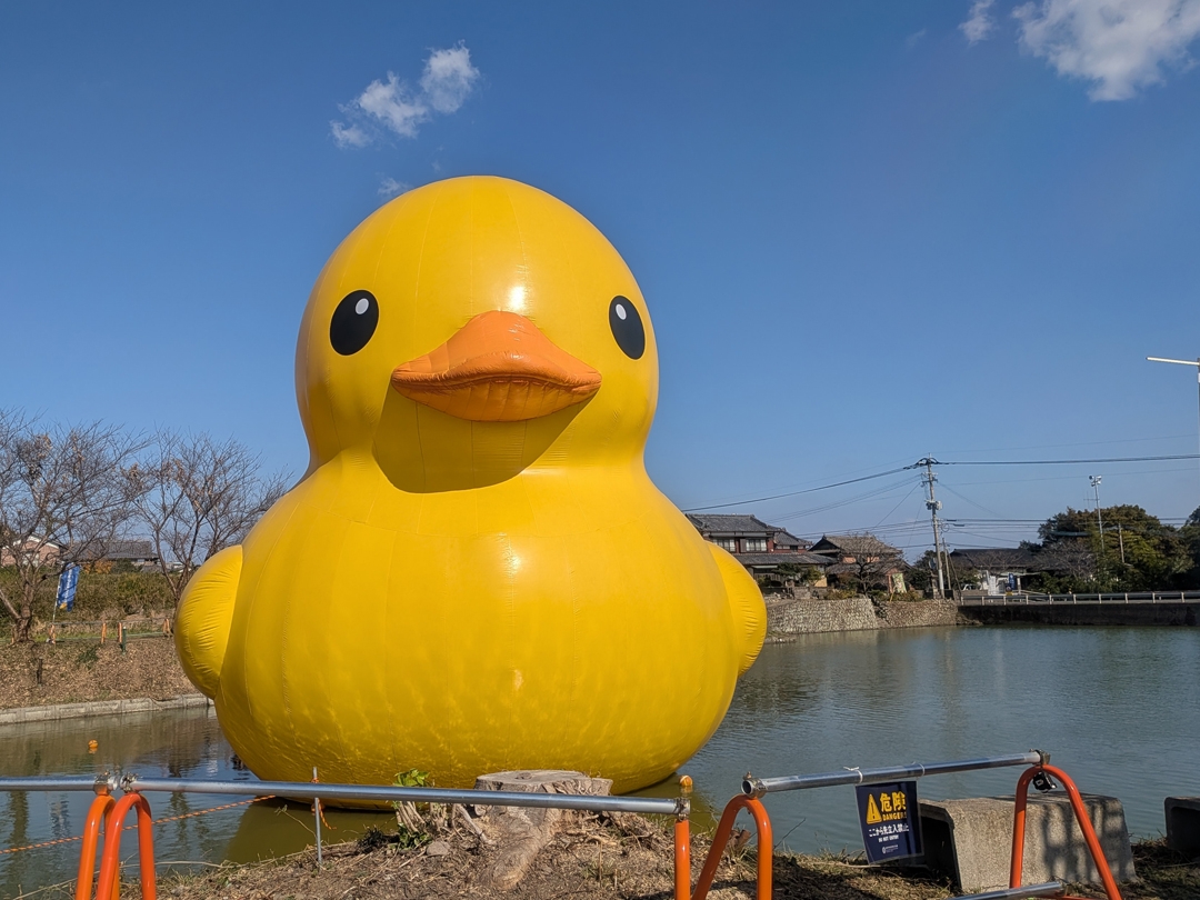 20251125_国東半島芸術文化祭_ラバーダック