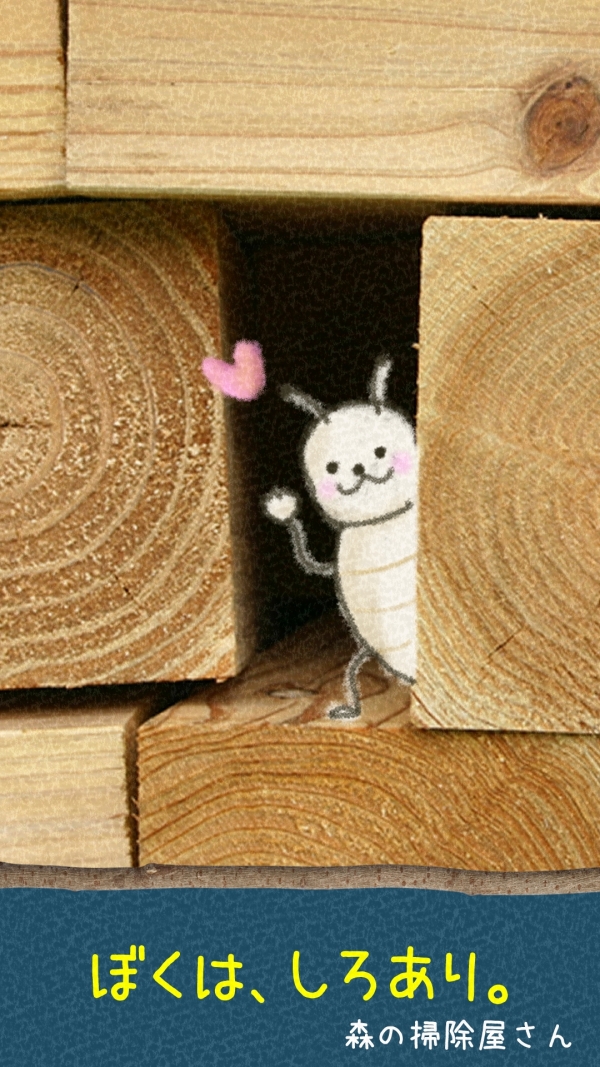 20250625_bokuhasiroari.jpg