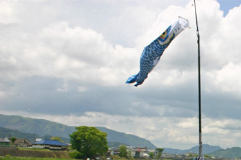 玖珠童話祭。空を泳ぐ鯉のぼり