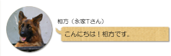 大分・自然素材の家。もくせい工舎の相方