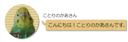 大分自然素材の家。もくせい工舎・ことりのかあさん