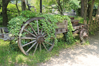 荷車、アイビーの植栽