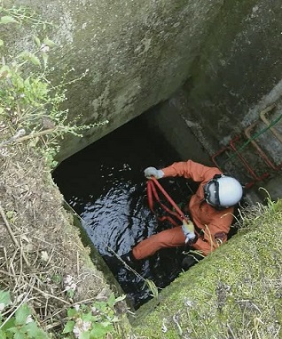 遭難犬