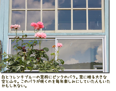 フレンチブルーの格子窓に映る空とピンクのバラ