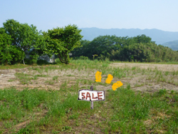 ずっと住みたい土地