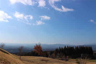 絶景のお店