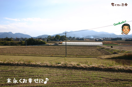 末永くお幸せに