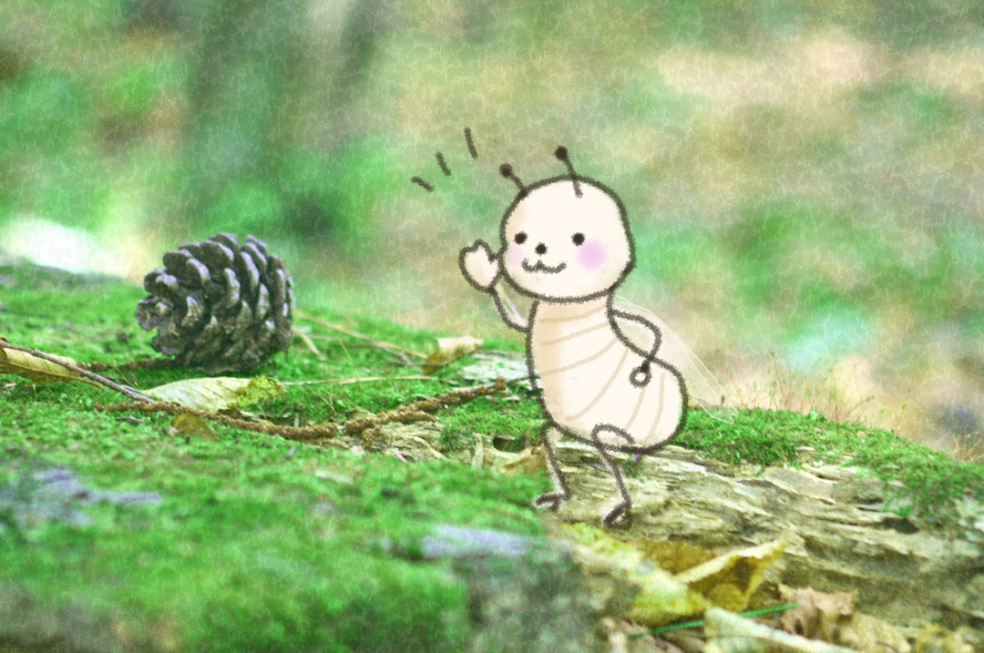 ぼくは、しろあり