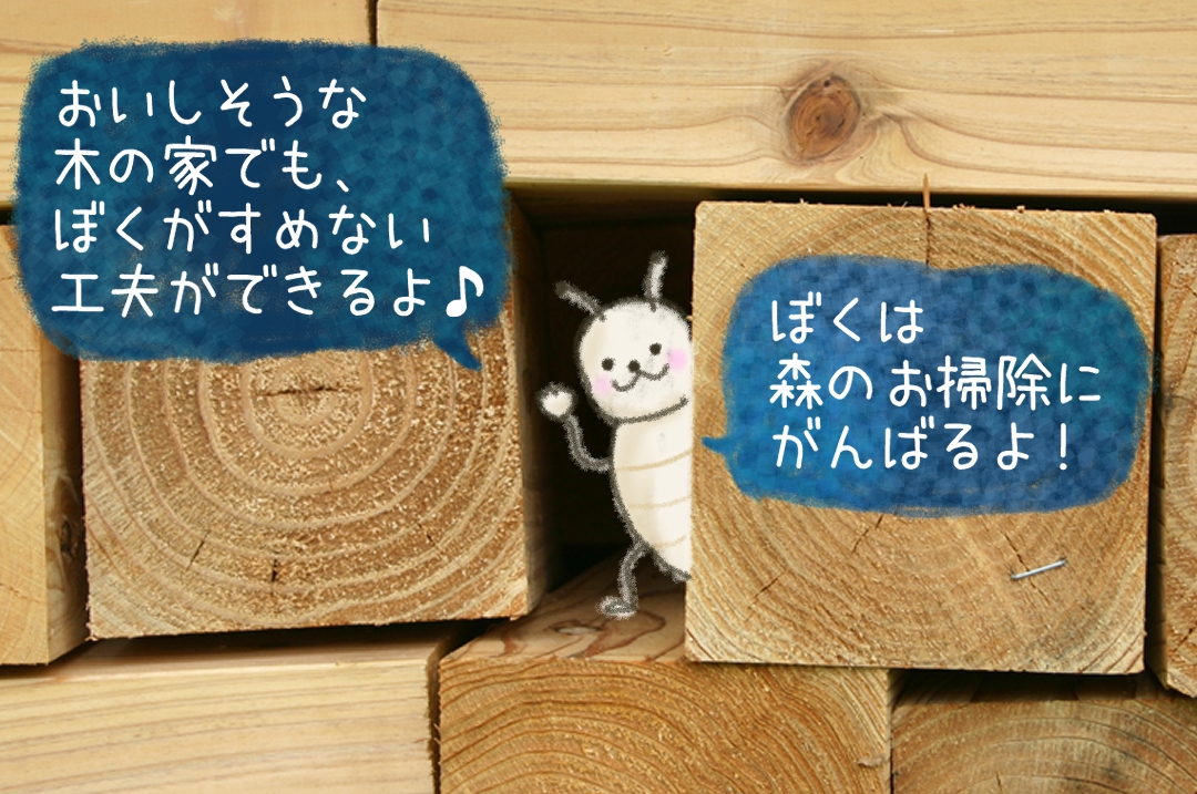 シロアリから守る